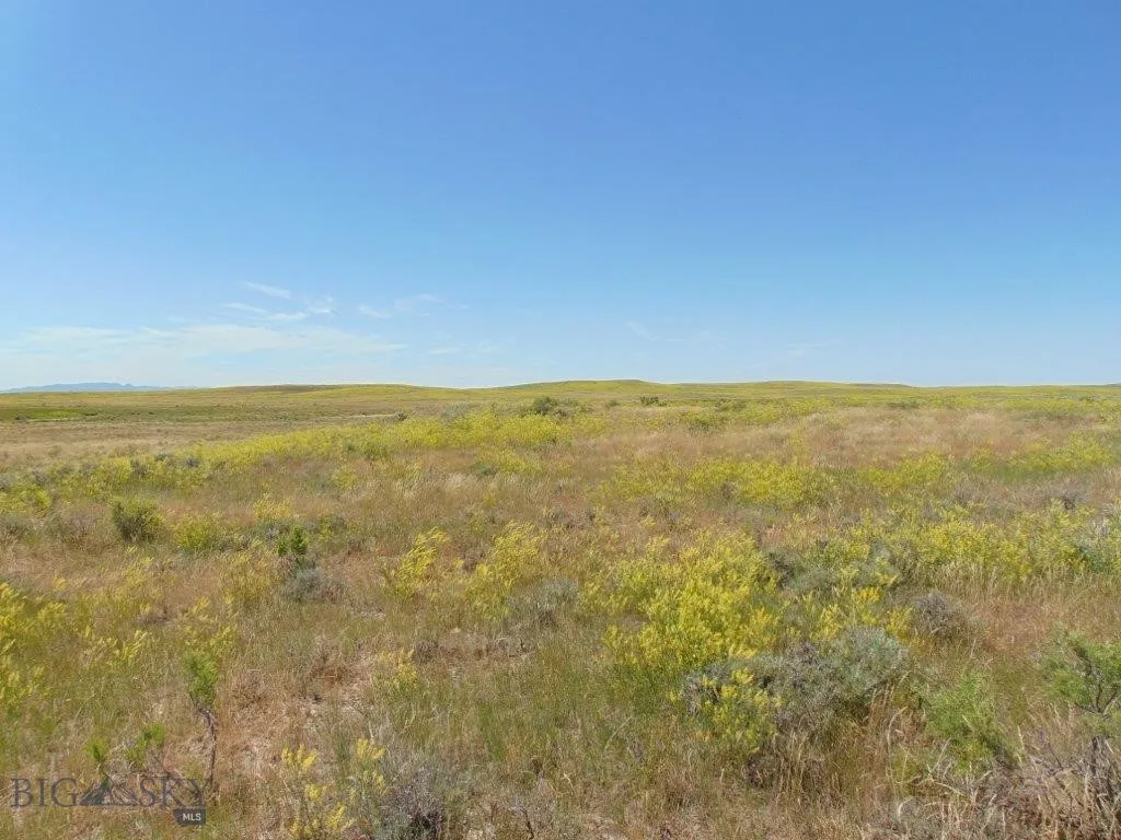 Tbd Wilder Trail, Lewistown, Montana 59457, Lewistown, Montana 59457, ,Land,For Sale,Tbd Wilder Trail, Lewistown, Montana 59457,0,402912