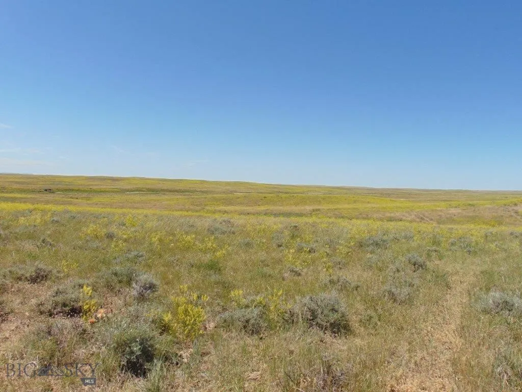 Tbd Wilder Trail, Lewistown, Montana 59457, Lewistown, Montana 59457, ,Land,For Sale,Tbd Wilder Trail, Lewistown, Montana 59457,0,402912