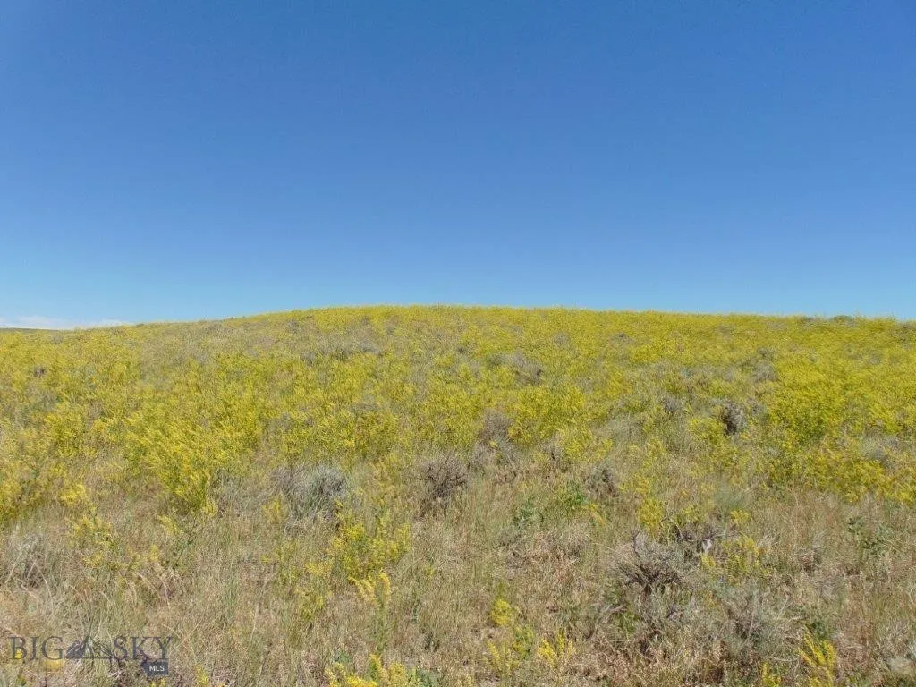 Tbd Wilder Trail, Lewistown, Montana 59457, Lewistown, Montana 59457, ,Land,For Sale,Tbd Wilder Trail, Lewistown, Montana 59457,0,402912