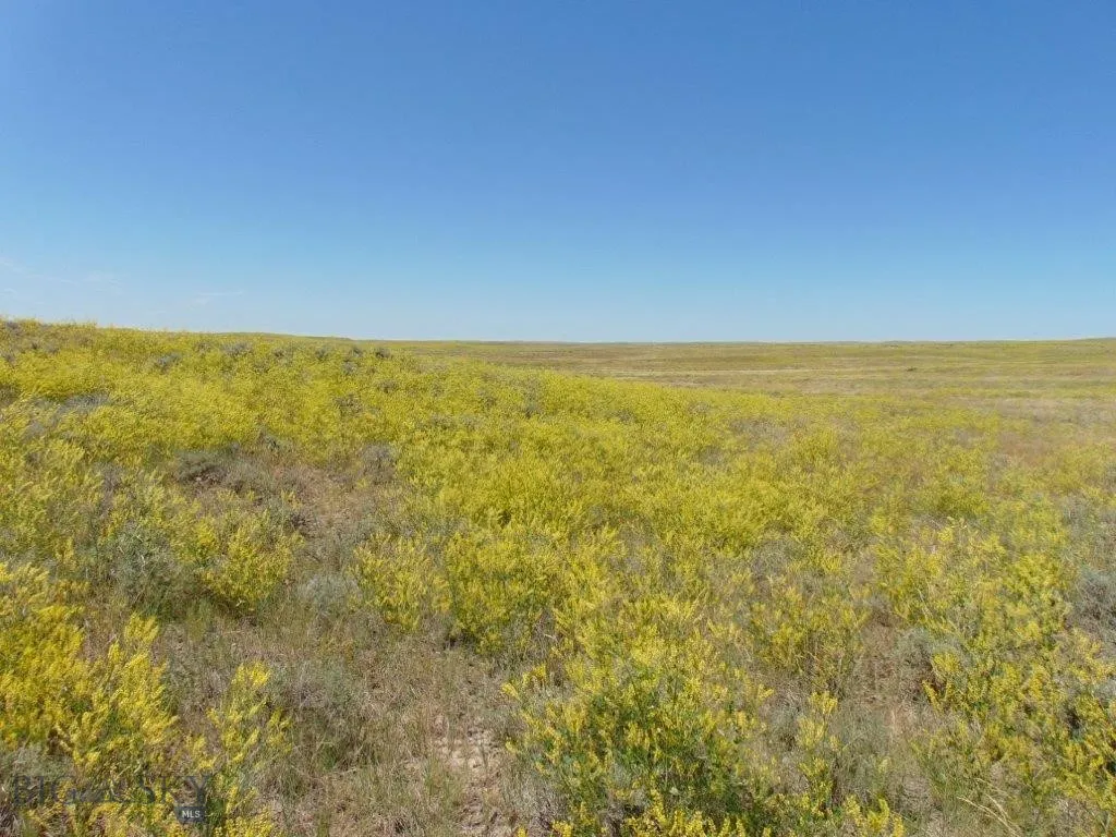 Tbd Wilder Trail, Lewistown, Montana 59457, Lewistown, Montana 59457, ,Land,For Sale,Tbd Wilder Trail, Lewistown, Montana 59457,0,402912