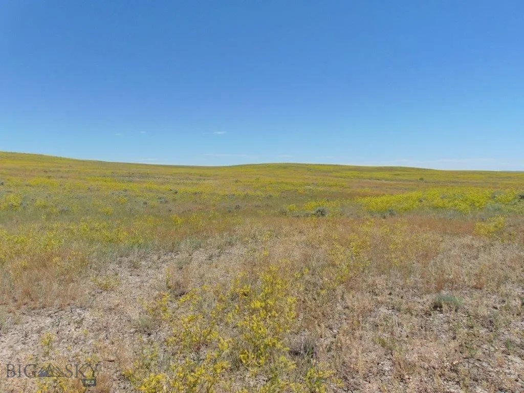 Tbd Wilder Trail, Lewistown, Montana 59457, Lewistown, Montana 59457, ,Land,For Sale,Tbd Wilder Trail, Lewistown, Montana 59457,0,402912