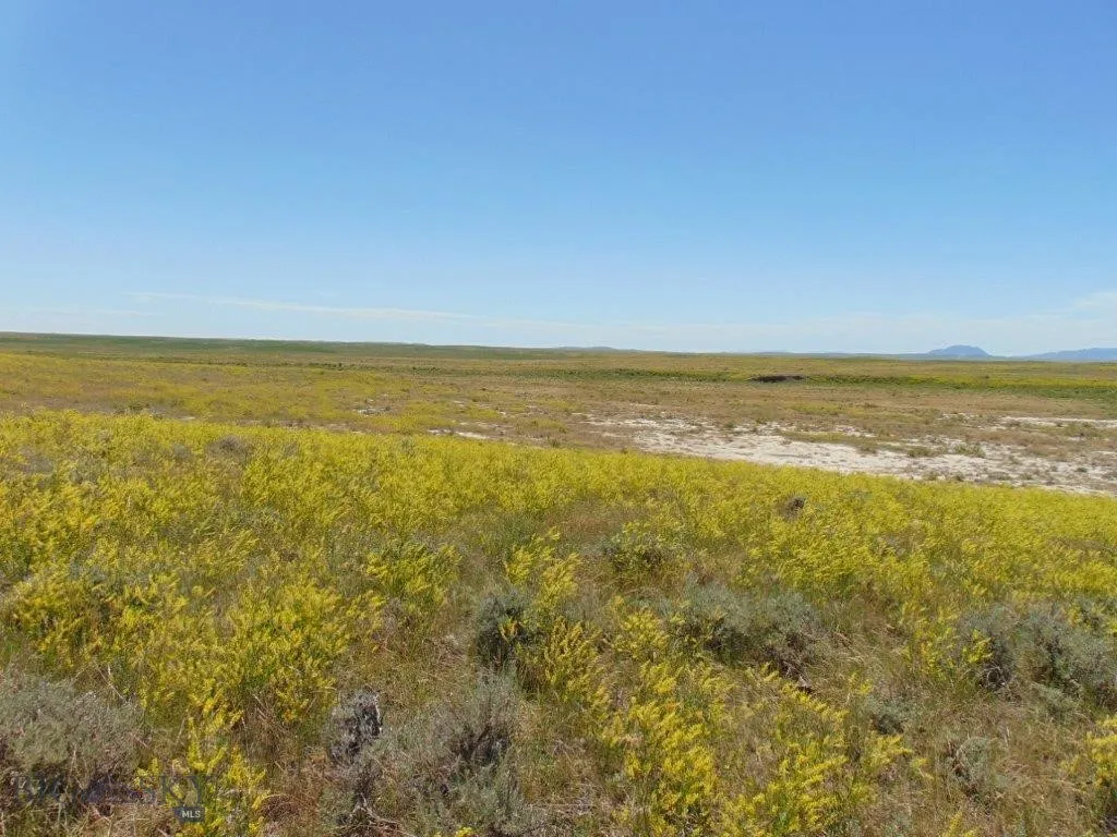 Tbd Wilder Trail, Lewistown, Montana 59457, Lewistown, Montana 59457, ,Land,For Sale,Tbd Wilder Trail, Lewistown, Montana 59457,0,402912