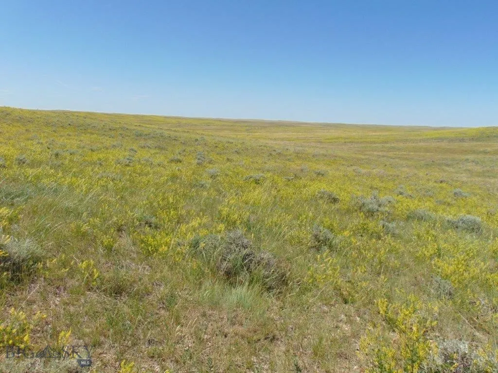 Tbd Wilder Trail, Lewistown, Montana 59457, Lewistown, Montana 59457, ,Land,For Sale,Tbd Wilder Trail, Lewistown, Montana 59457,0,402912