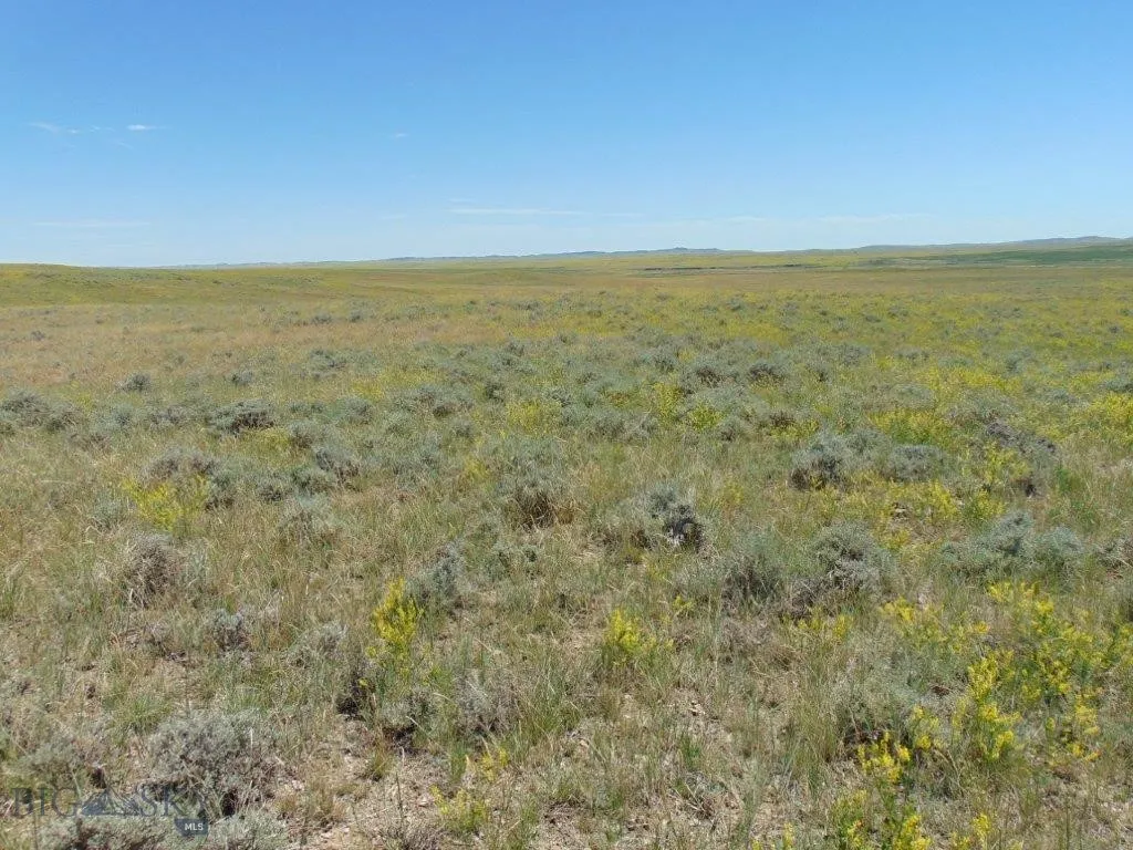 Tbd Wilder Trail, Lewistown, Montana 59457, Lewistown, Montana 59457, ,Land,For Sale,Tbd Wilder Trail, Lewistown, Montana 59457,0,402912