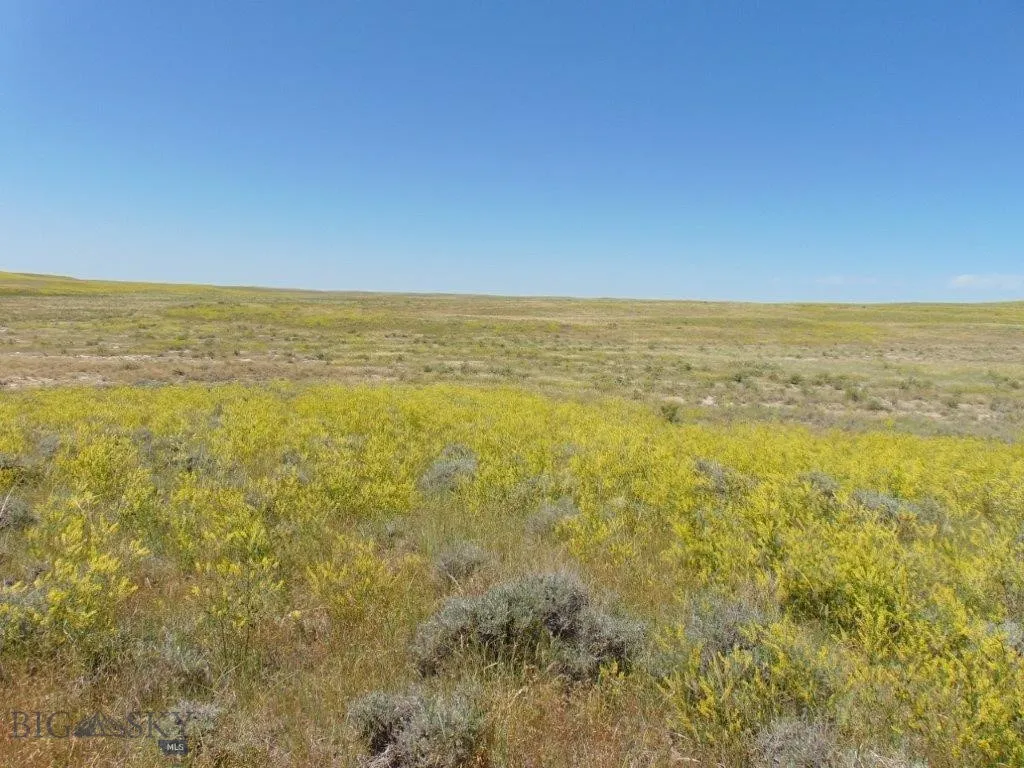 Tbd Wilder Trail, Lewistown, Montana 59457, Lewistown, Montana 59457, ,Land,For Sale,Tbd Wilder Trail, Lewistown, Montana 59457,0,402912