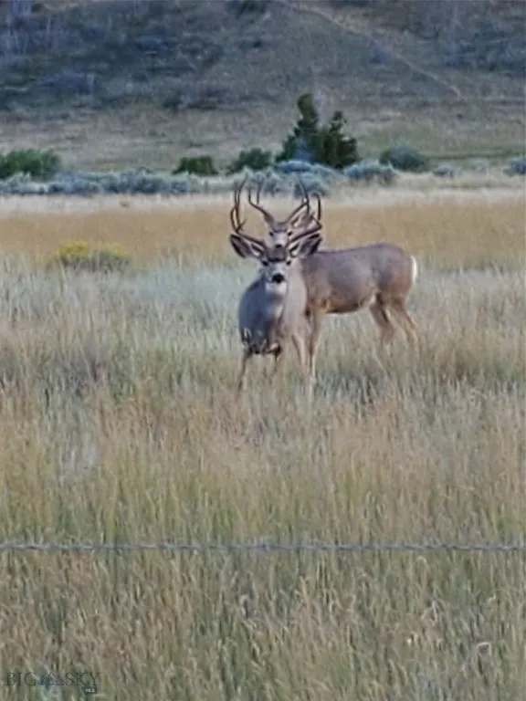 22 Indian Creek Road, Townsend, Montana 59644, Townsend, Montana 59644, 2 Bedrooms Bedrooms, ,1 BathroomBathrooms,Residential,For Sale,22 Indian Creek Road, Townsend, Montana 59644,0,402926
