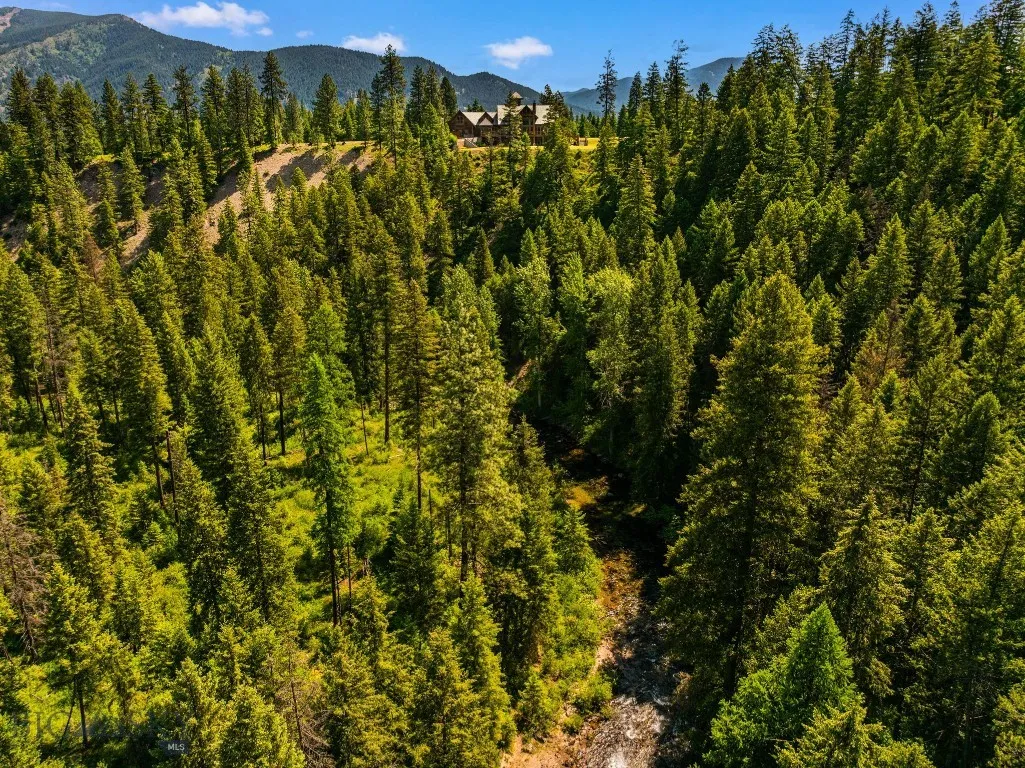 135 Squire Lane South, Trout Creek, Montana 59874, Trout Creek, Montana 59874, 8 Bedrooms Bedrooms, ,2 BathroomsBathrooms,Residential,For Sale,135 Squire Lane South, Trout Creek, Montana 59874,0,402664