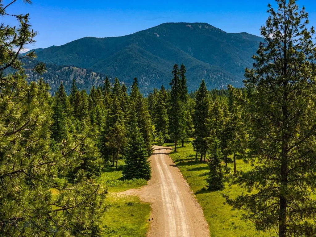 135 Squire Lane South, Trout Creek, Montana 59874, Trout Creek, Montana 59874, 8 Bedrooms Bedrooms, ,2 BathroomsBathrooms,Residential,For Sale,135 Squire Lane South, Trout Creek, Montana 59874,0,402664