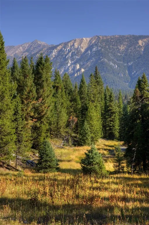 208 Outlook Trail, Big Sky, Montana 58716, Big Sky, Montana 58716, ,Land,For Sale,208 Outlook Trail, Big Sky, Montana 58716,402900