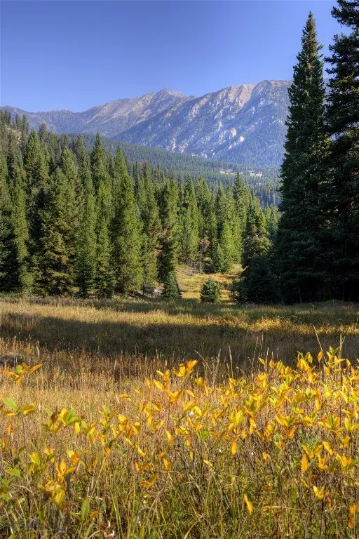 208 Outlook Trail, Big Sky, Montana 58716, Big Sky, Montana 58716, ,Land,For Sale,208 Outlook Trail, Big Sky, Montana 58716,402900