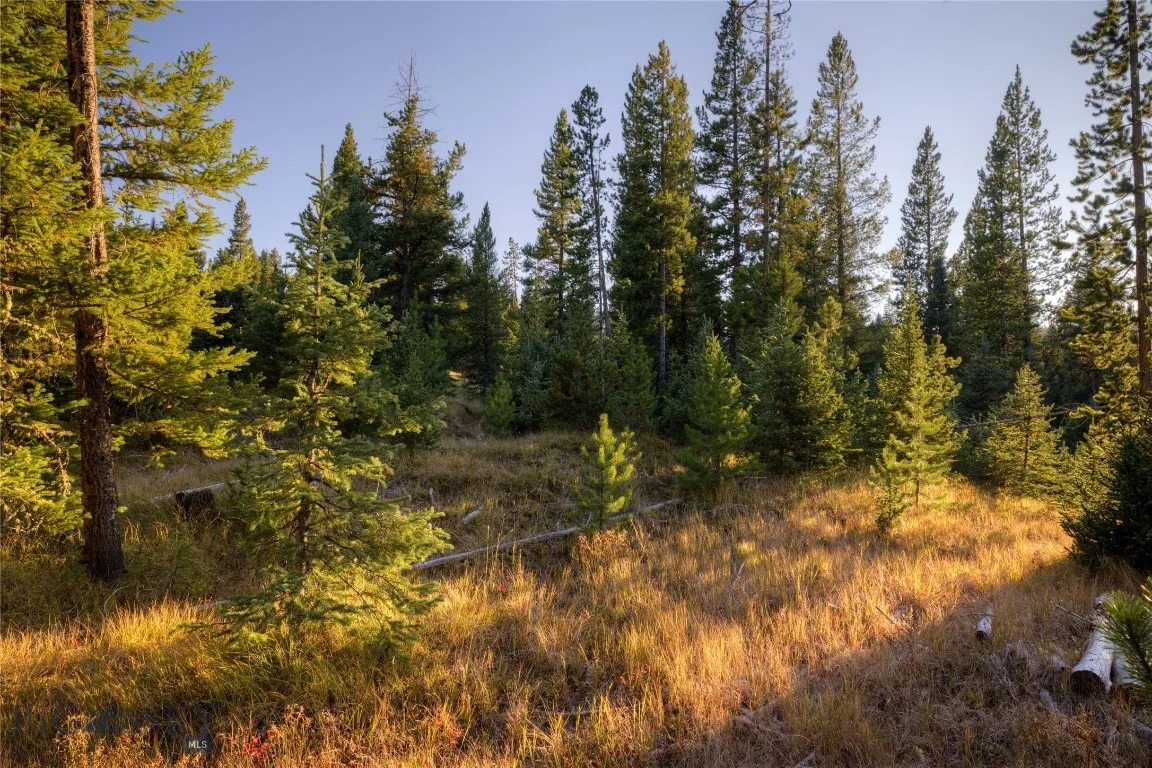 208 Outlook Trail, Big Sky, Montana 58716, Big Sky, Montana 58716, ,Land,For Sale,208 Outlook Trail, Big Sky, Montana 58716,402900