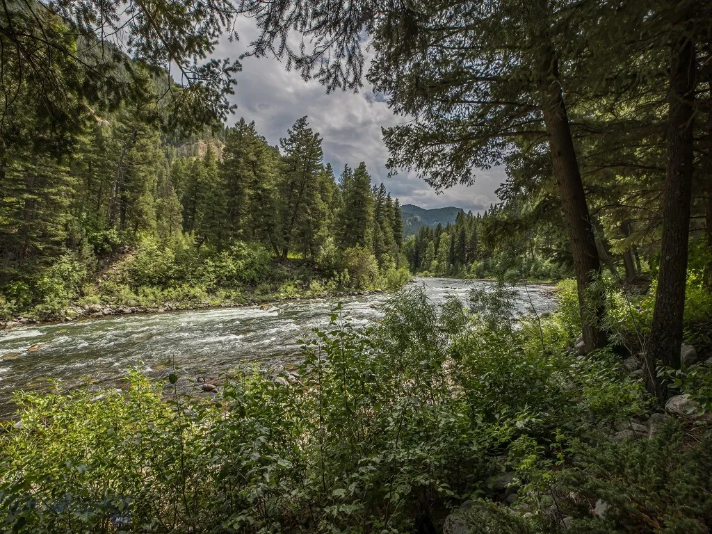The Gallatin River from the picnic area