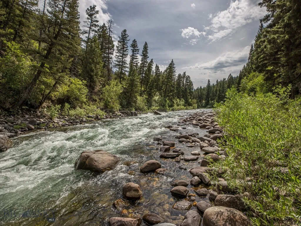 Gallatin River