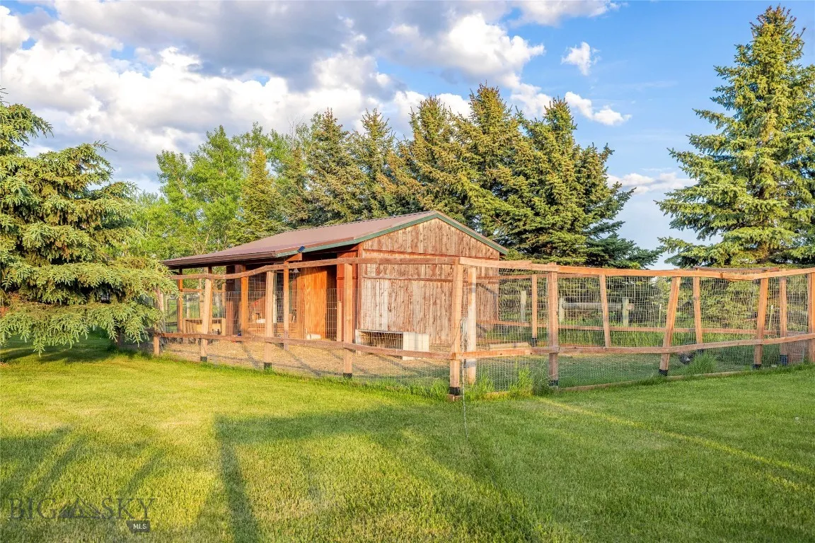 Chicken Coop