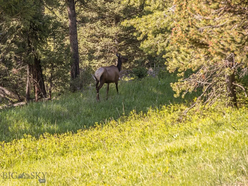 Spacious main level mud room/laundry