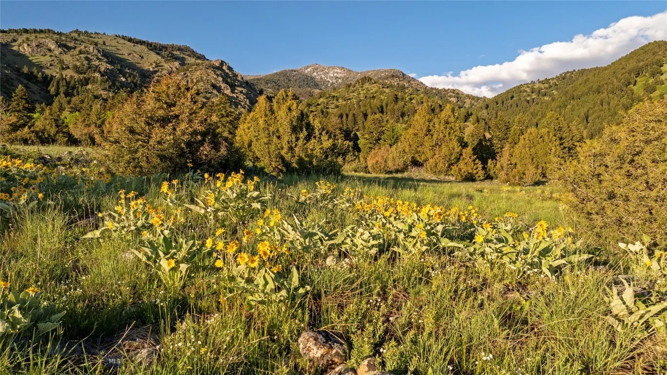 Tbd Evan Reese Road, Belgrade, Montana 59714, Belgrade, Montana 59714, ,Land,For Sale,Tbd Evan Reese Road, Belgrade, Montana 59714,403000