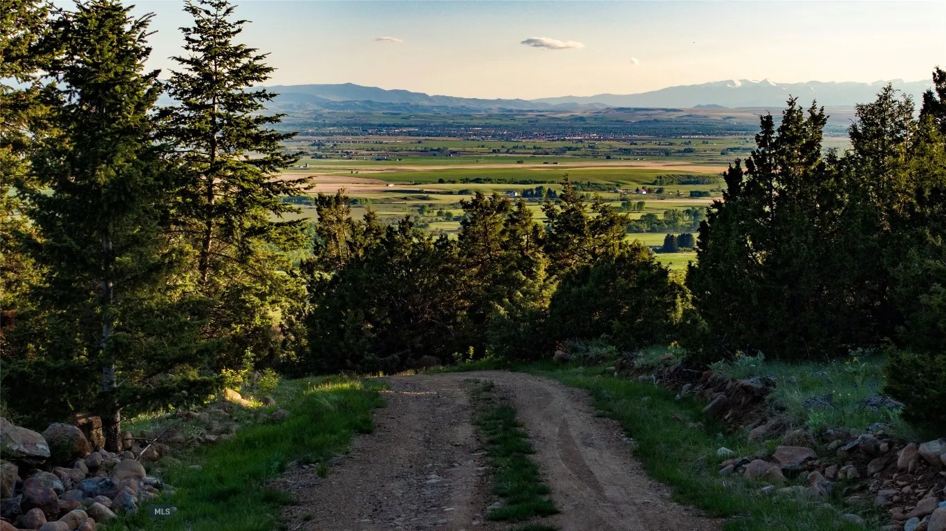 Tbd Evan Reese Road, Belgrade, Montana 59714, Belgrade, Montana 59714, ,Land,For Sale,Tbd Evan Reese Road, Belgrade, Montana 59714,403000