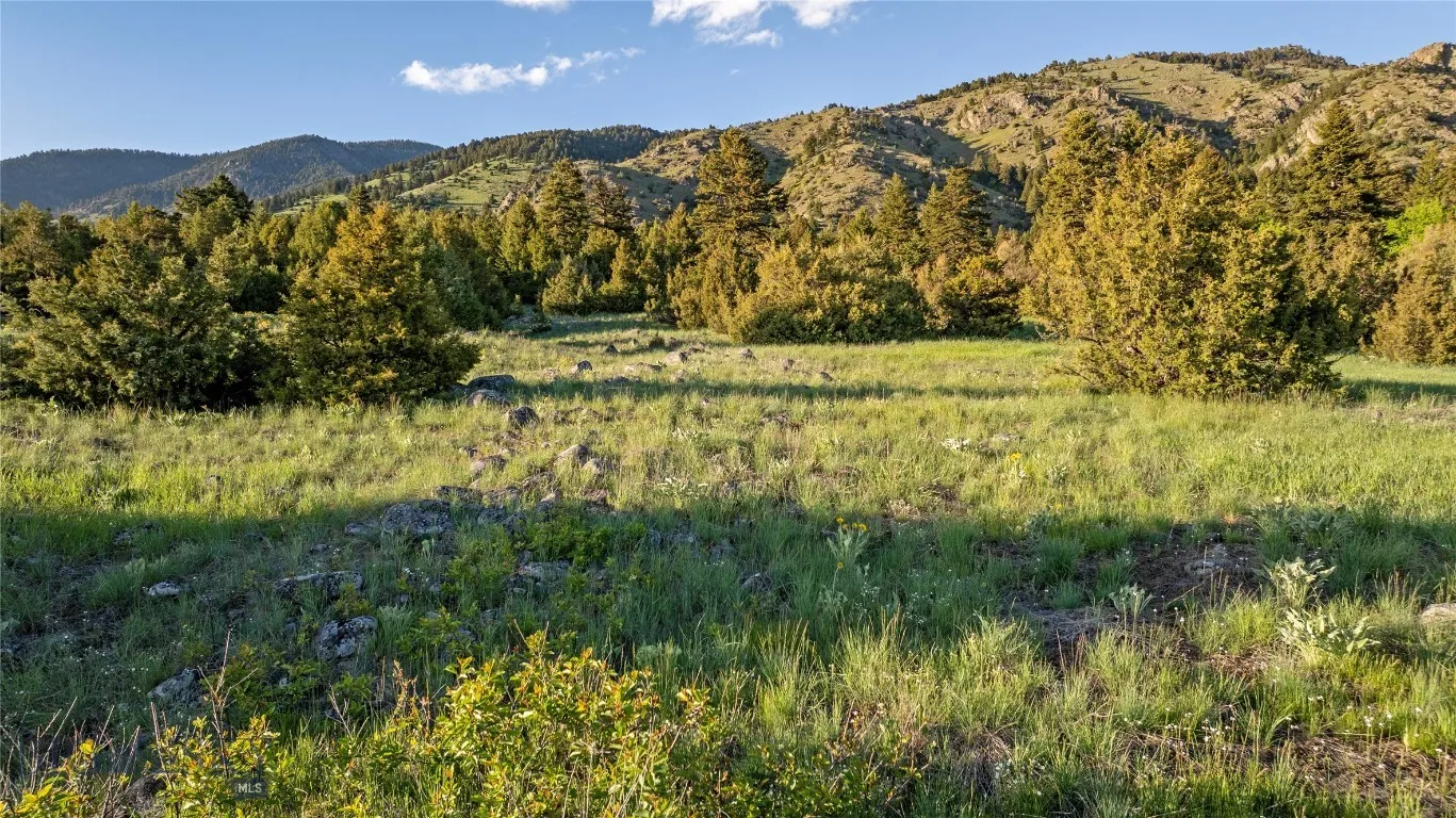 Tbd Evan Reese Road, Belgrade, Montana 59714, Belgrade, Montana 59714, ,Land,For Sale,Tbd Evan Reese Road, Belgrade, Montana 59714,403000