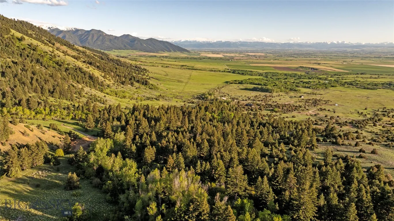 Tbd Evan Reese Road, Belgrade, Montana 59714, Belgrade, Montana 59714, ,Land,For Sale,Tbd Evan Reese Road, Belgrade, Montana 59714,403000