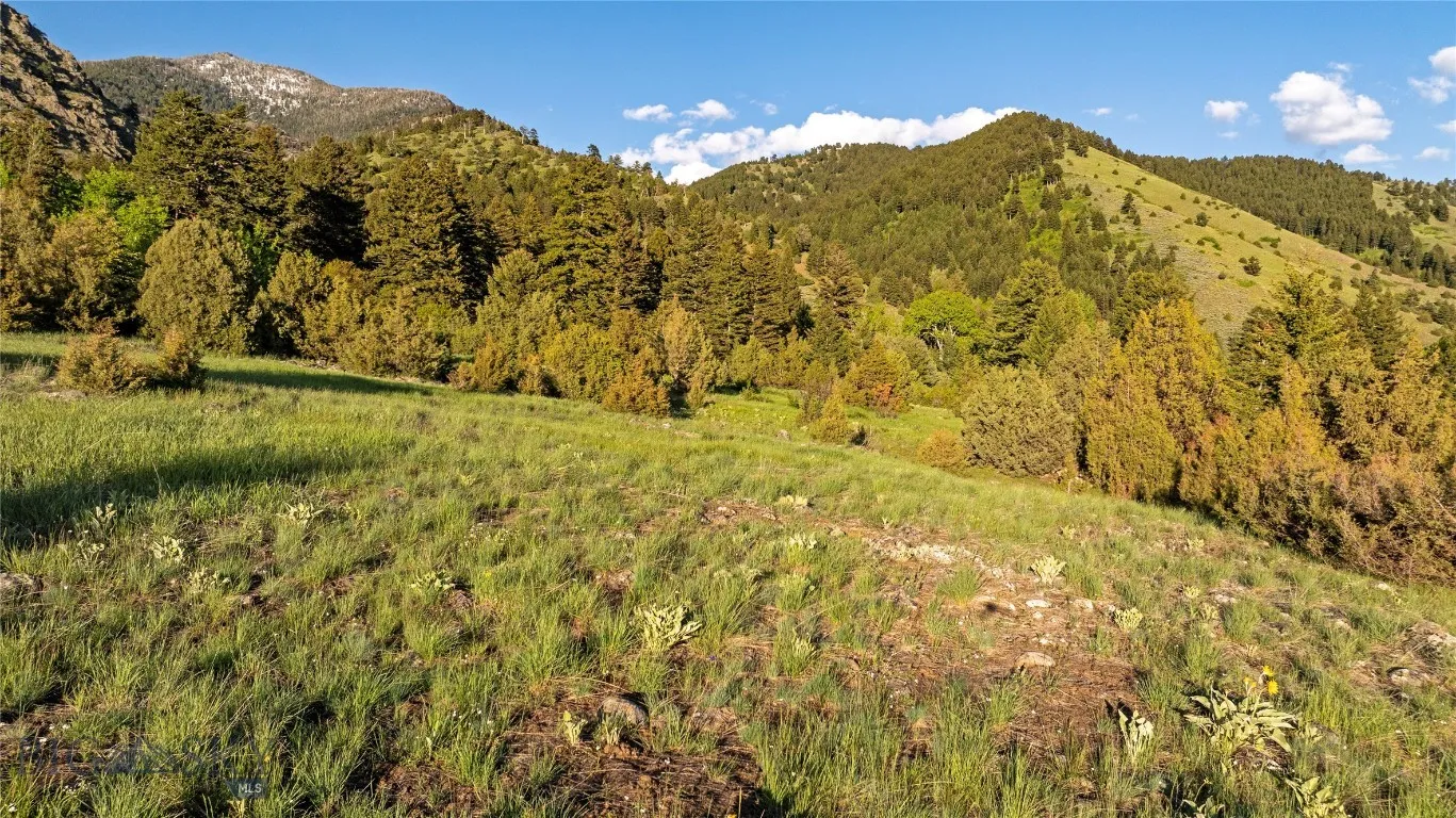 Tbd Evan Reese Road, Belgrade, Montana 59714, Belgrade, Montana 59714, ,Land,For Sale,Tbd Evan Reese Road, Belgrade, Montana 59714,403000