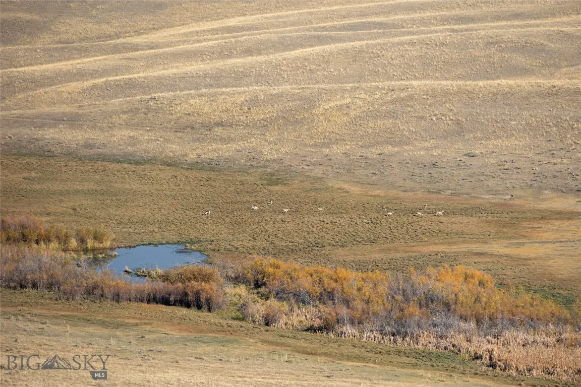 Antelope and Fishing pond on Norwegian Creek on bordering State Land