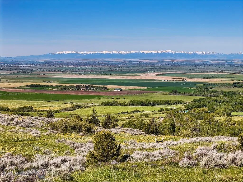 Upper Potential Homesite