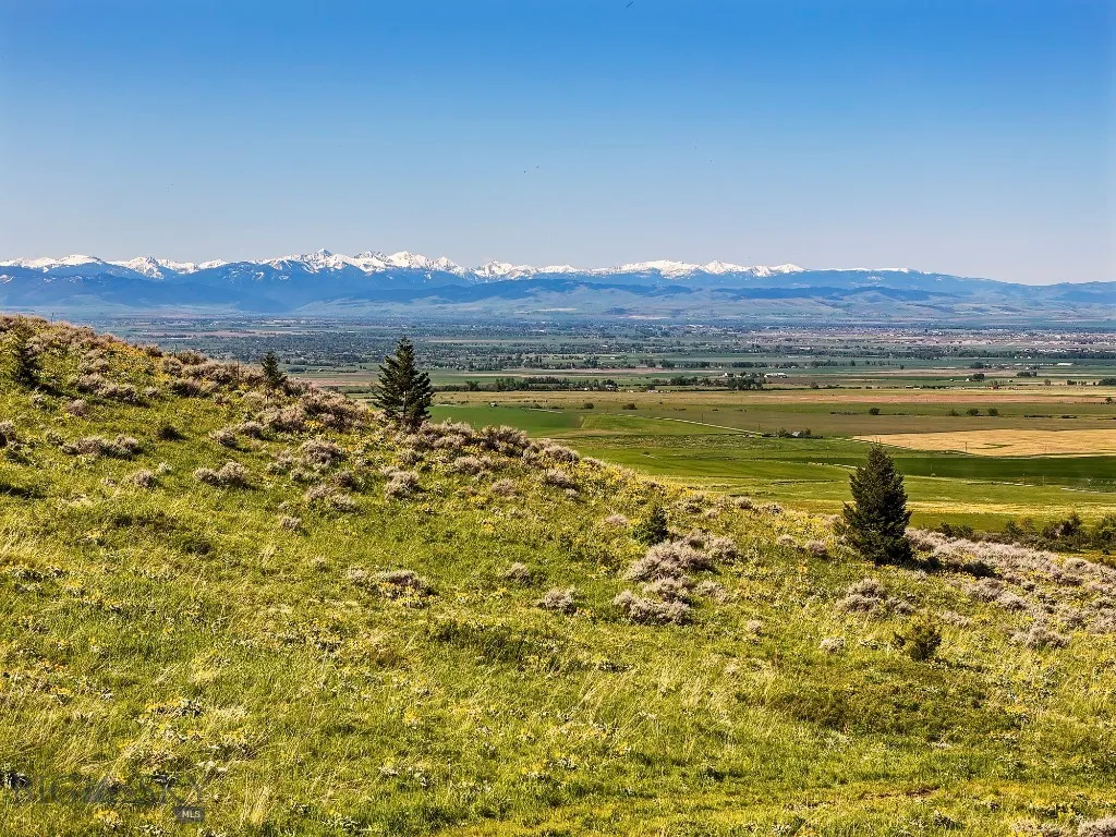 Upper Potential Homesite