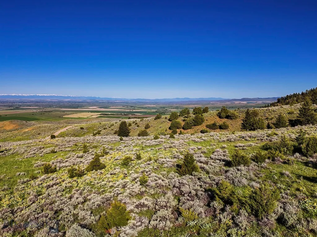 Springhill Vistas Ranch At Four Bar Ranches, Belgr, Belgrade, Montana 59714, ,Land,For Sale,Springhill Vistas Ranch At Four Bar Ranches, Belgr,402195