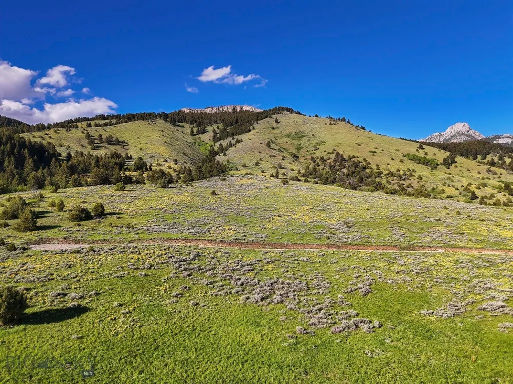 Springhill Vistas Ranch At Four Bar Ranches, Belgr, Belgrade, Montana 59714, ,Land,For Sale,Springhill Vistas Ranch At Four Bar Ranches, Belgr,402195