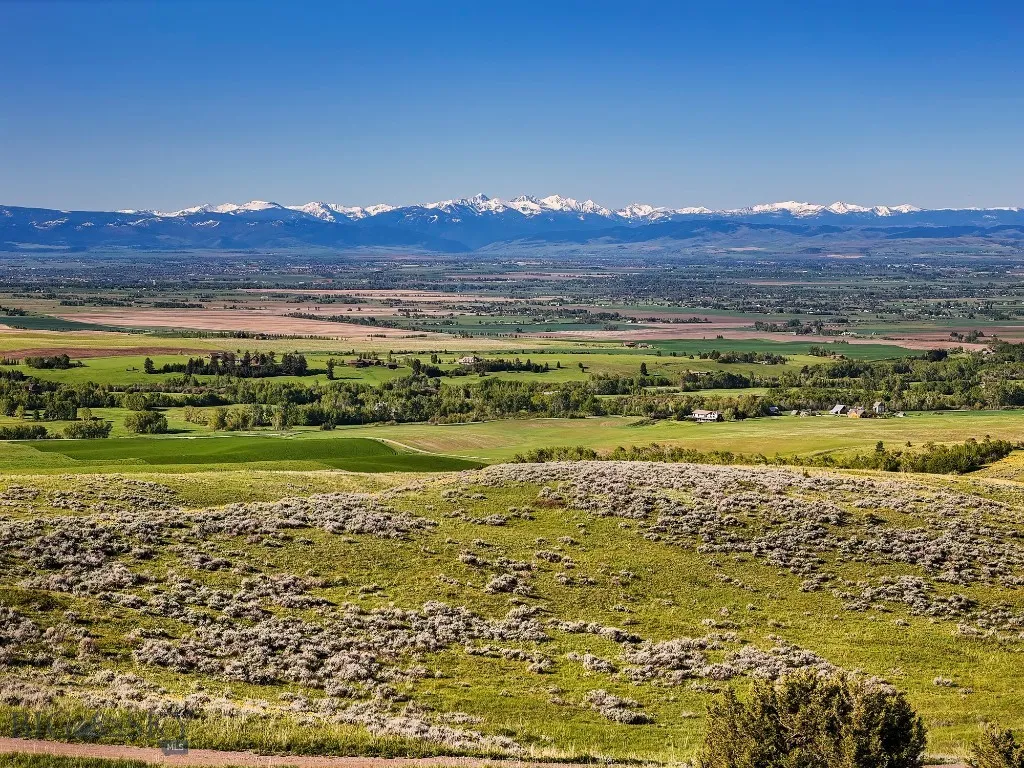 View from homesite