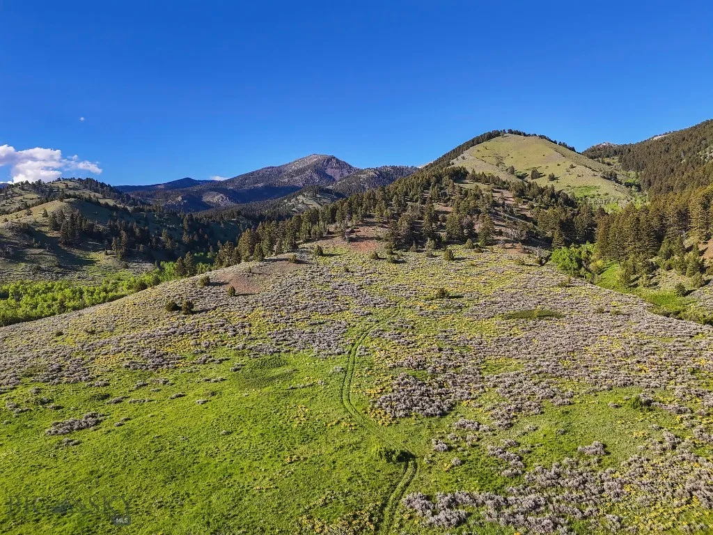 Bridger Foothills Ranch At Four Bar Ranches, Belgr, Belgrade, Montana 59715, ,Land,For Sale,Bridger Foothills Ranch At Four Bar Ranches, Belgr,402191
