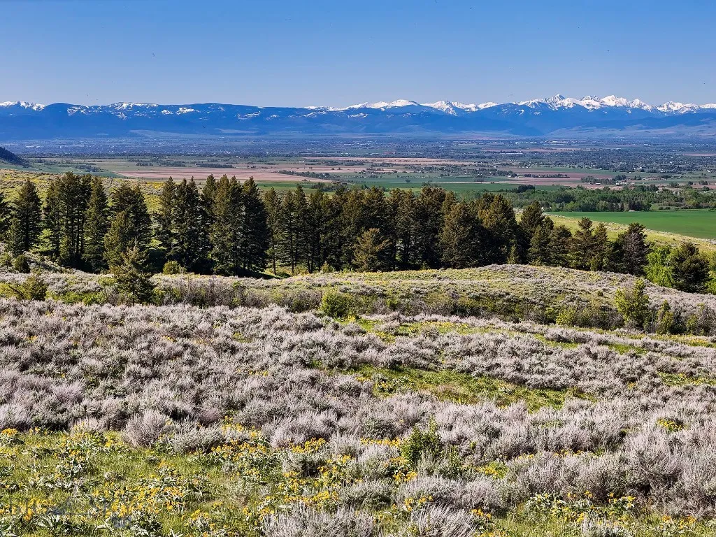 Bridger Foothills Ranch At Four Bar Ranches, Belgr, Belgrade, Montana 59715, ,Land,For Sale,Bridger Foothills Ranch At Four Bar Ranches, Belgr,402191
