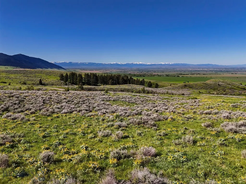 Bridger Foothills Ranch At Four Bar Ranches, Belgr, Belgrade, Montana 59715, ,Land,For Sale,Bridger Foothills Ranch At Four Bar Ranches, Belgr,402191