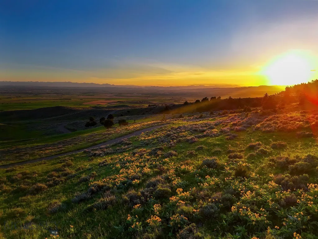Four Bar Ranch Corbly Gulch, Belgrade, Montana 597, Belgrade, Montana 59714, 4 Bedrooms Bedrooms, ,2 BathroomsBathrooms,Residential,For Sale,Four Bar Ranch Corbly Gulch, Belgrade, Montana 597,402196