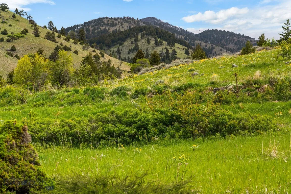 Four Bar Ranch Corbly Gulch, Belgrade, Montana 597, Belgrade, Montana 59714, 4 Bedrooms Bedrooms, ,2 BathroomsBathrooms,Residential,For Sale,Four Bar Ranch Corbly Gulch, Belgrade, Montana 597,402196