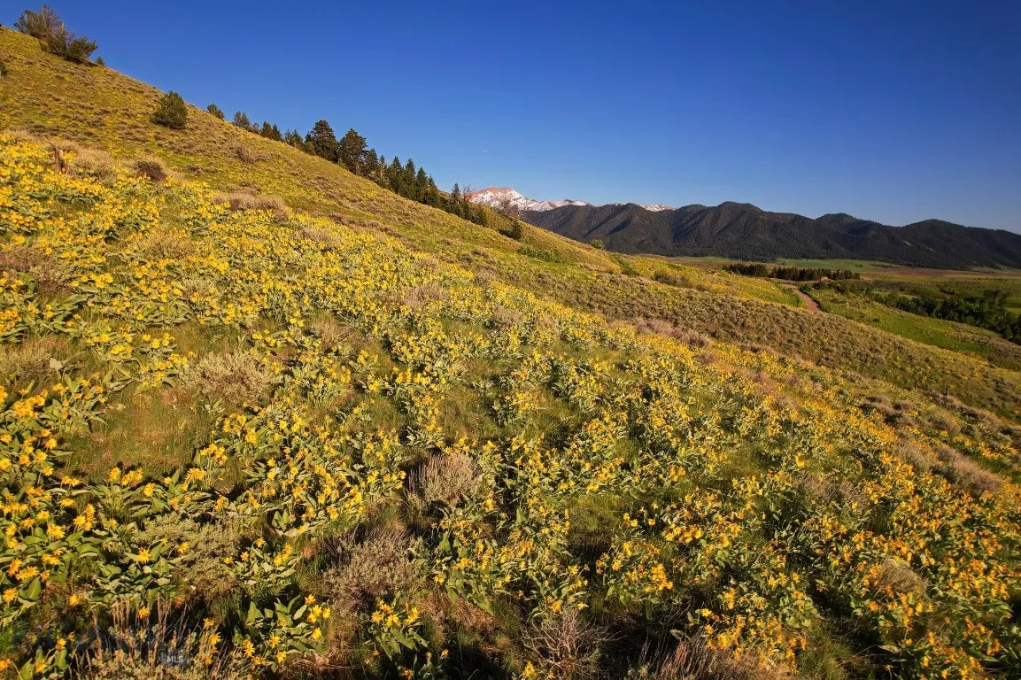 Four Bar Ranch Corbly Gulch, Belgrade, Montana 597, Belgrade, Montana 59714, 4 Bedrooms Bedrooms, ,2 BathroomsBathrooms,Residential,For Sale,Four Bar Ranch Corbly Gulch, Belgrade, Montana 597,402196