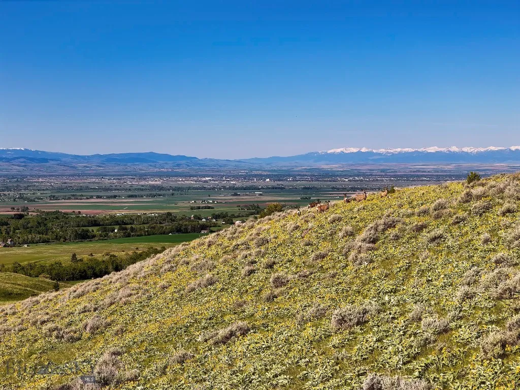 Four Bar Ranch Corbly Gulch, Belgrade, Montana 597, Belgrade, Montana 59714, 4 Bedrooms Bedrooms, ,2 BathroomsBathrooms,Residential,For Sale,Four Bar Ranch Corbly Gulch, Belgrade, Montana 597,402196