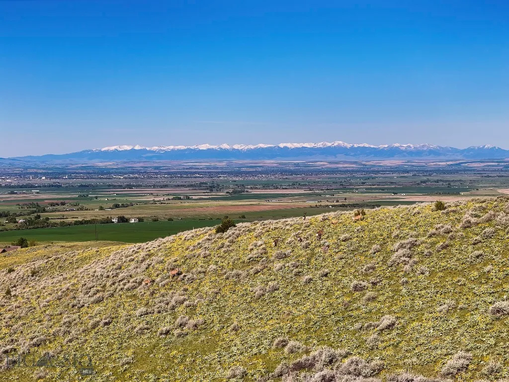 Four Bar Ranch Corbly Gulch, Belgrade, Montana 597, Belgrade, Montana 59714, 4 Bedrooms Bedrooms, ,2 BathroomsBathrooms,Residential,For Sale,Four Bar Ranch Corbly Gulch, Belgrade, Montana 597,402196