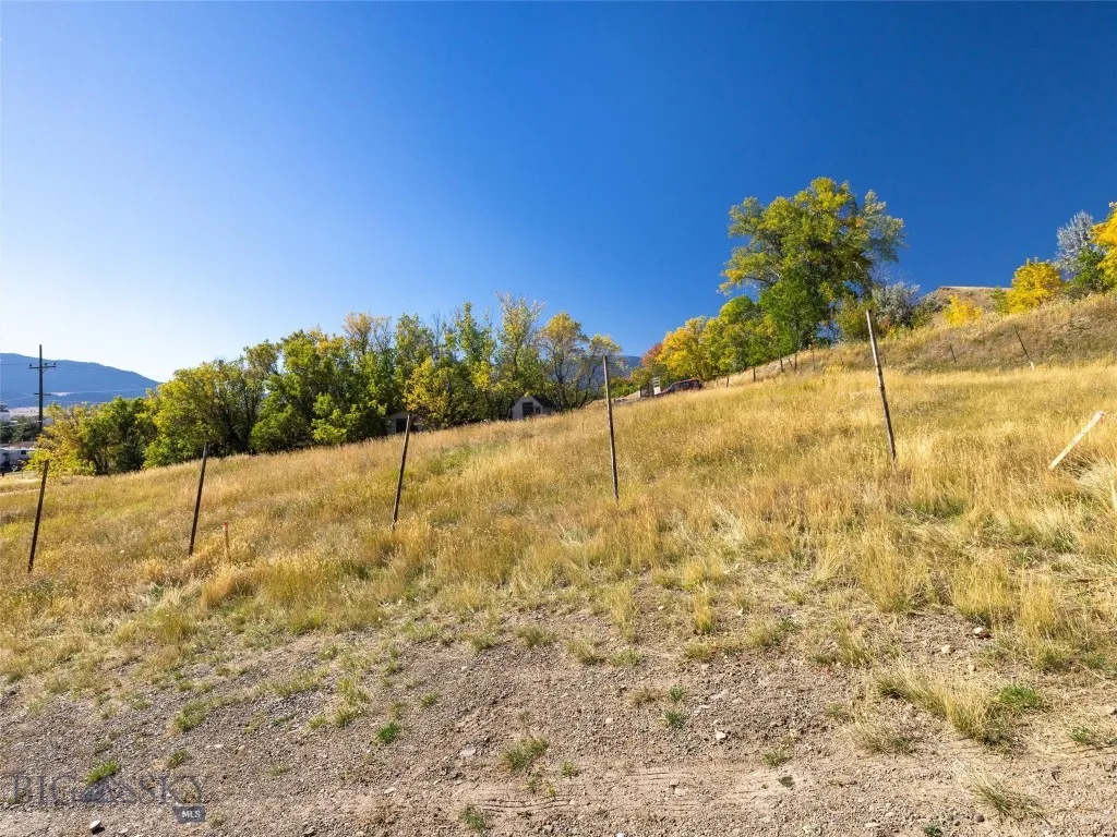 Tbd N L Street, Livingston, Montana 59047, Livingston, Montana 59047, ,Land,For Sale,Tbd N L Street, Livingston, Montana 59047,402873