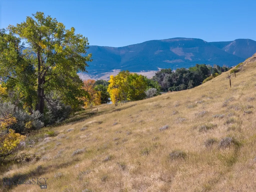 Tbd N L Street, Livingston, Montana 59047, Livingston, Montana 59047, ,Land,For Sale,Tbd N L Street, Livingston, Montana 59047,402873