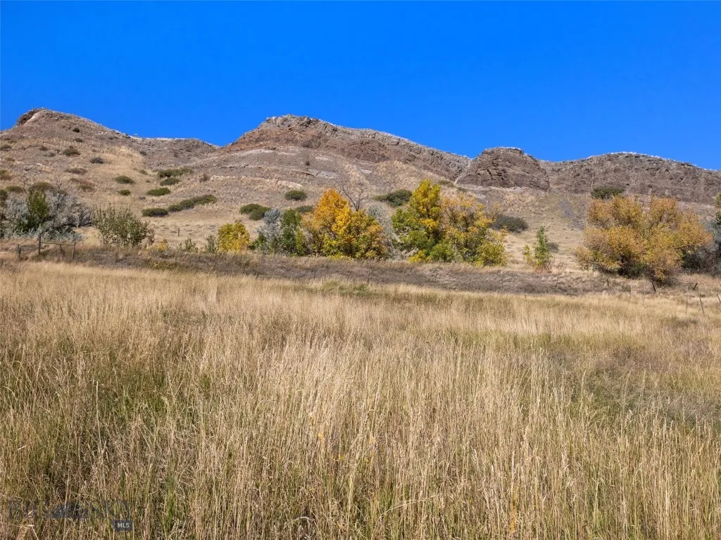 Tbd N L Street, Livingston, Montana 59047, Livingston, Montana 59047, ,Land,For Sale,Tbd N L Street, Livingston, Montana 59047,402873