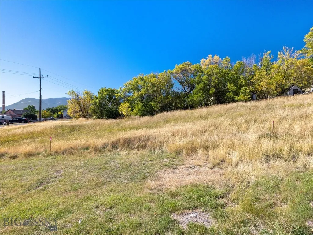 Tbd N L Street, Livingston, Montana 59047, Livingston, Montana 59047, ,Land,For Sale,Tbd N L Street, Livingston, Montana 59047,402873