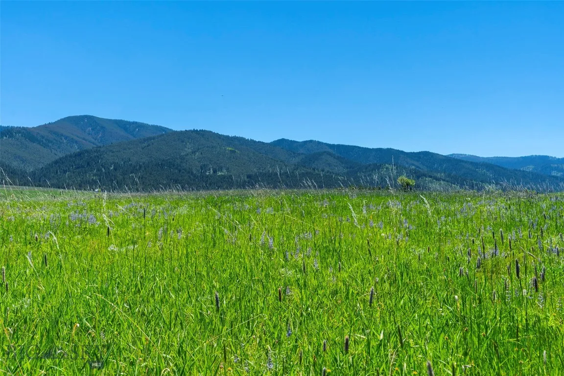 1856 Star Ridge Road, Bozeman, Montana 59715, Bozeman, Montana 59715, ,Land,For Sale,1856 Star Ridge Road, Bozeman, Montana 59715,403078