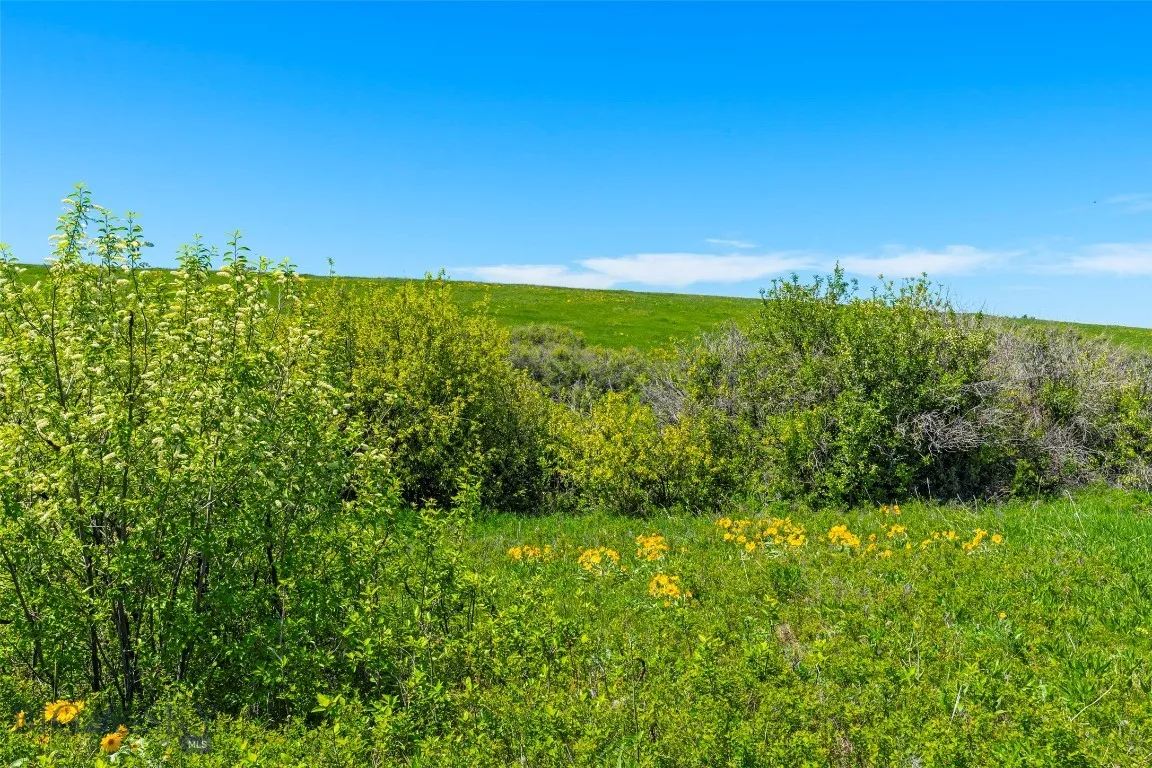 1856 Star Ridge Road, Bozeman, Montana 59715, Bozeman, Montana 59715, ,Land,For Sale,1856 Star Ridge Road, Bozeman, Montana 59715,403078