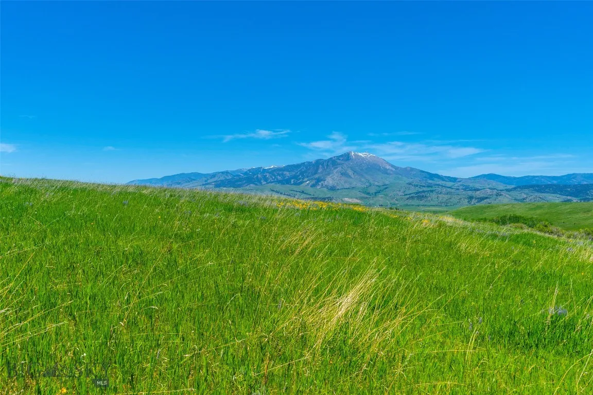 1856 Star Ridge Road, Bozeman, Montana 59715, Bozeman, Montana 59715, ,Land,For Sale,1856 Star Ridge Road, Bozeman, Montana 59715,403078