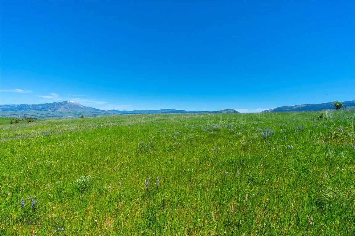 1856 Star Ridge Road, Bozeman, Montana 59715, Bozeman, Montana 59715, ,Land,For Sale,1856 Star Ridge Road, Bozeman, Montana 59715,403078