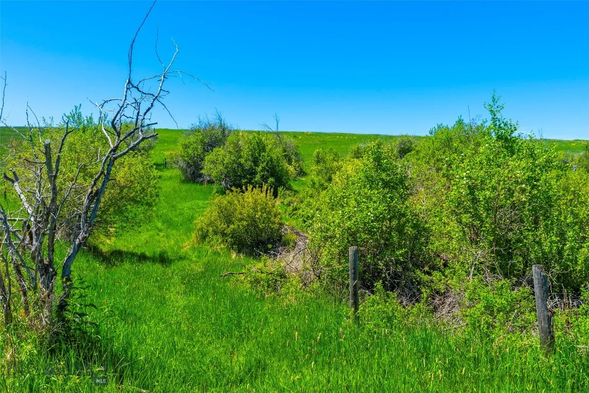 1856 Star Ridge Road, Bozeman, Montana 59715, Bozeman, Montana 59715, ,Land,For Sale,1856 Star Ridge Road, Bozeman, Montana 59715,403078