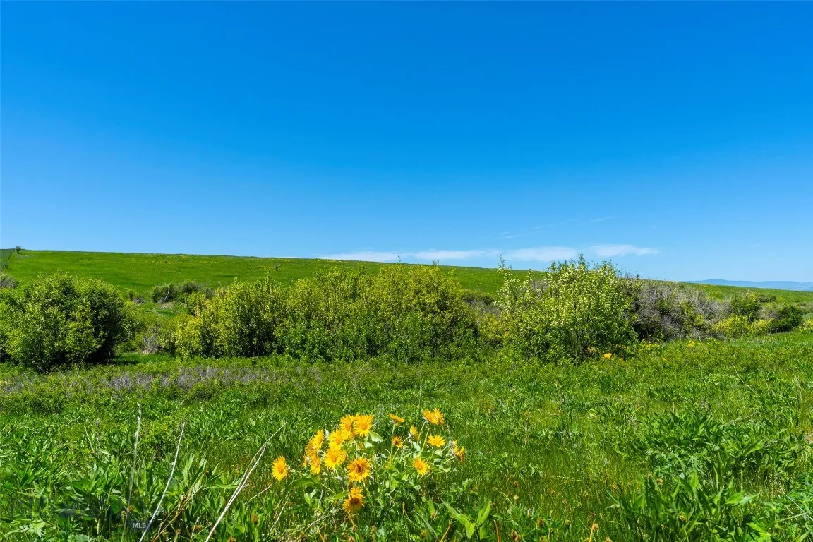 1856 Star Ridge Road, Bozeman, Montana 59715, Bozeman, Montana 59715, ,Land,For Sale,1856 Star Ridge Road, Bozeman, Montana 59715,403078