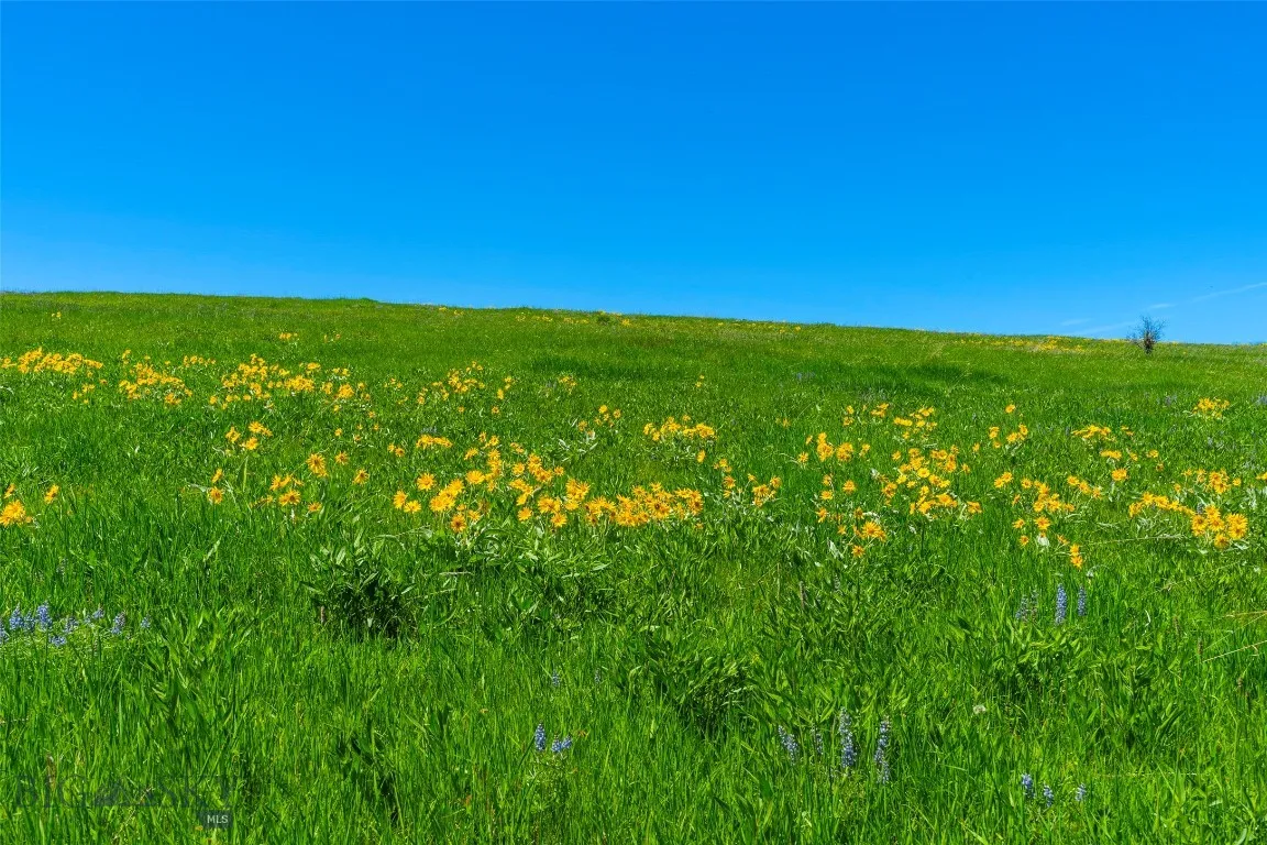 1856 Star Ridge Road, Bozeman, Montana 59715, Bozeman, Montana 59715, ,Land,For Sale,1856 Star Ridge Road, Bozeman, Montana 59715,403078