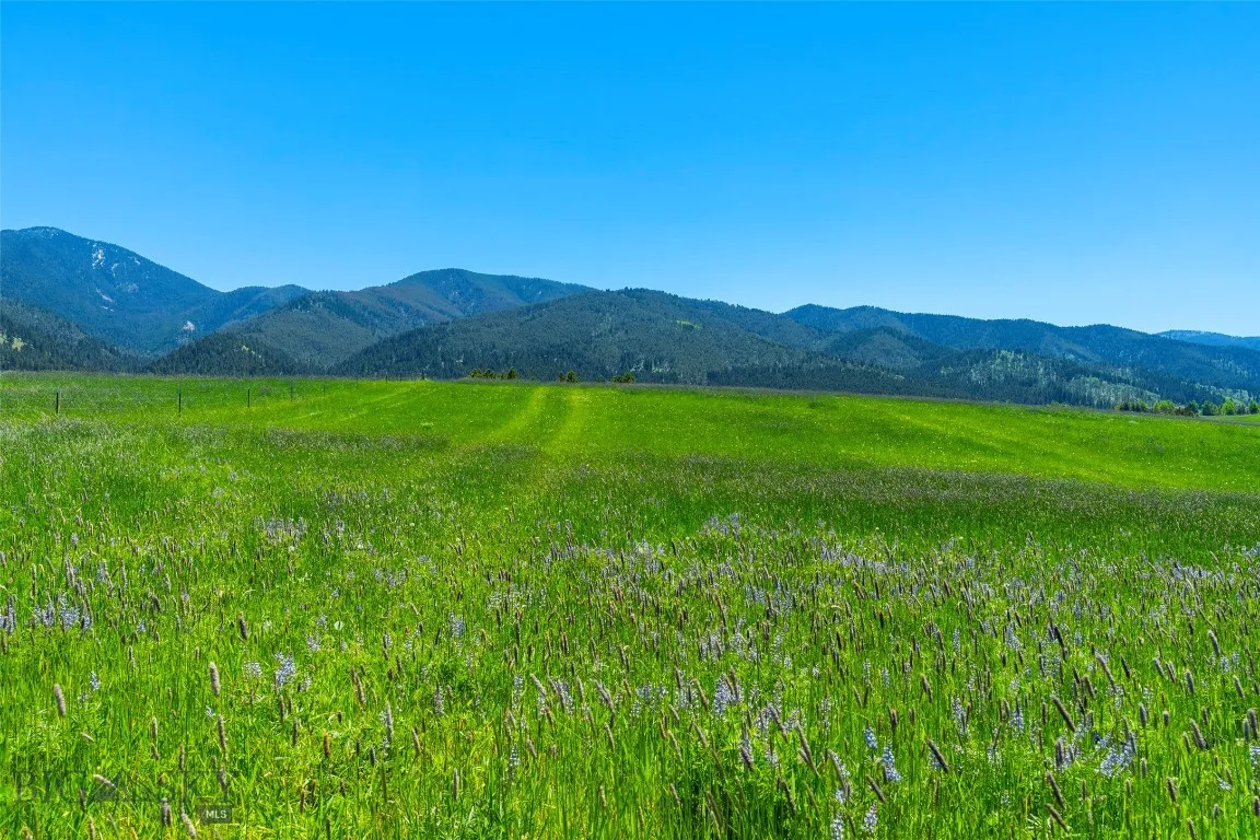 1856 Star Ridge Road, Bozeman, Montana 59715, Bozeman, Montana 59715, ,Land,For Sale,1856 Star Ridge Road, Bozeman, Montana 59715,403078